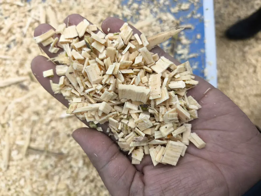 Coarse wood chips produced from branches