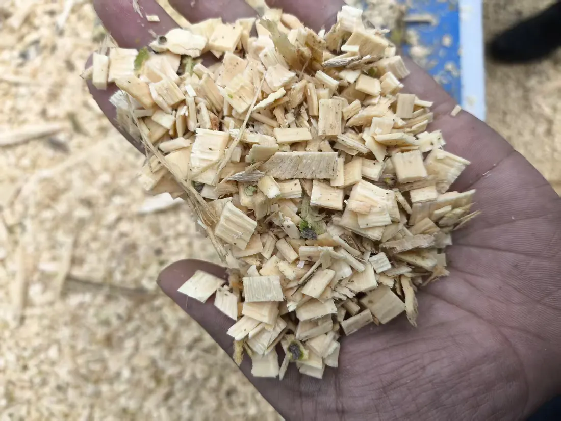 Medium size wood chips suitable for biomass handling